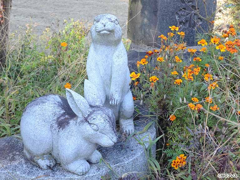 像えとせとら】兎田旧跡のウサギ(松本市里山辺)│MGプレス