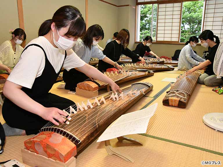 信州大 箏曲サークルことこと キャンパスに響く箏の調べ Mgプレス